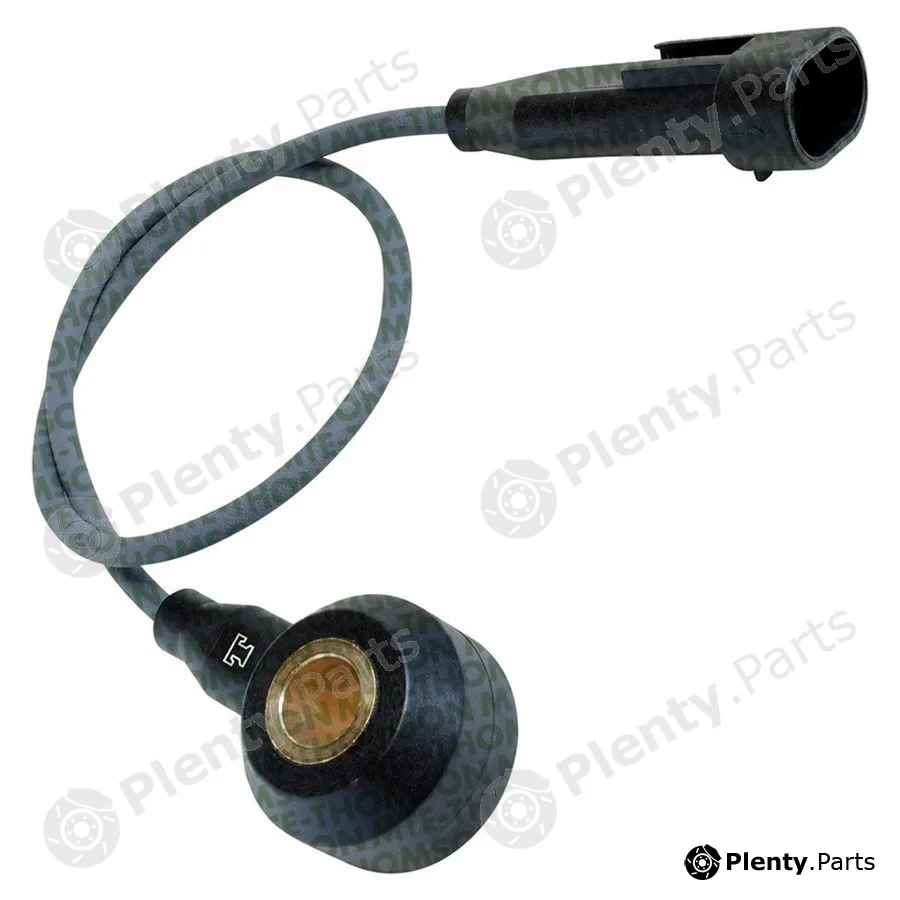 Mte-Thomson 70017 — Knock Sensor