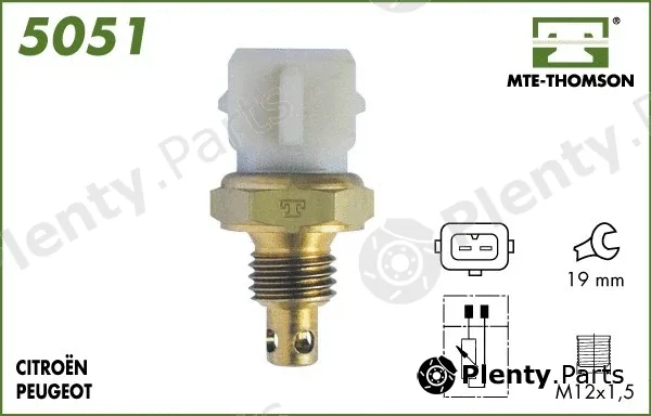 Mte-Thomson 5051 — Sensor, intake air temperature
