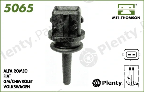 Mte-Thomson 5065 — Sensor, intake air temperature