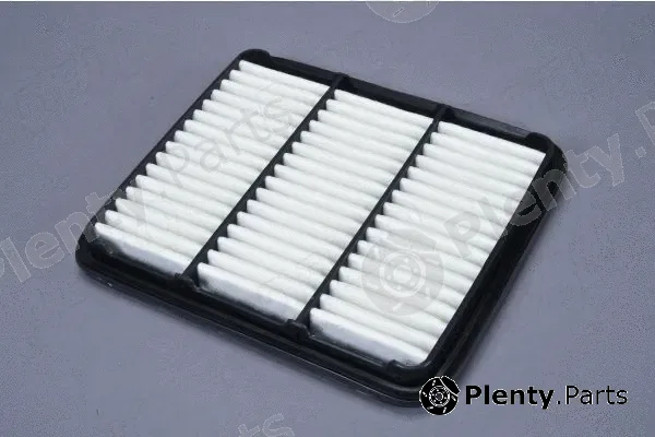 Automega 180070110 — Air Filter