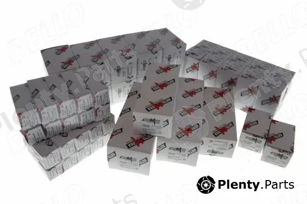 Automega 213084810 — Bulbs Assortment