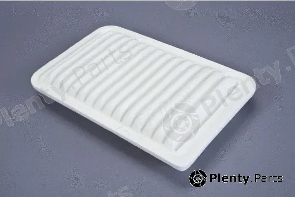 Automega 210076710 — Air Filter