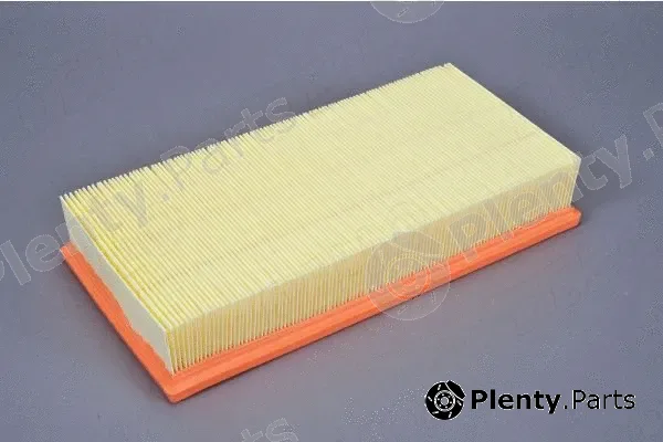 Automega 210163210 — Air Filter