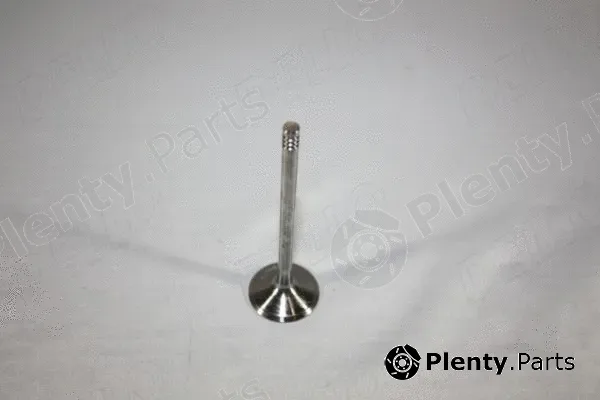 Automega 130106910 — Intake Valve
