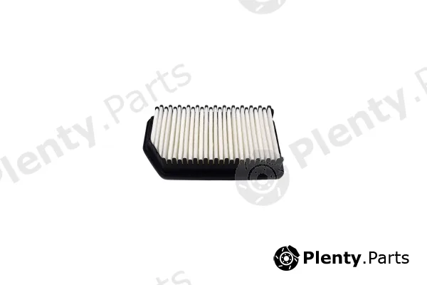 Automega 250051710 — Air Filter