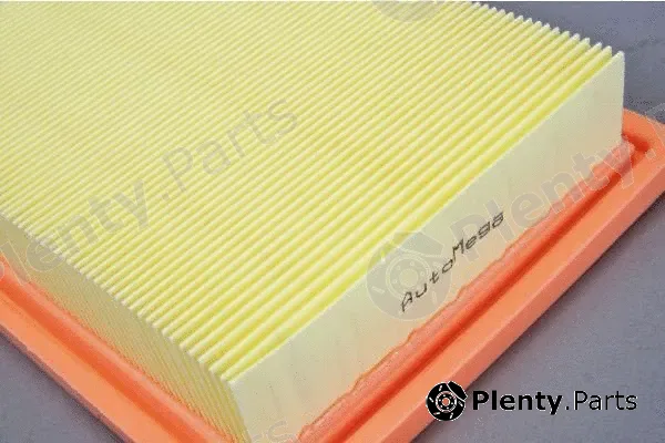Automega 180031010 — Air Filter