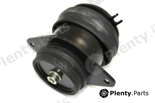 Automega 130028110 — Mounting, engine