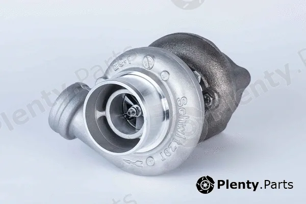 BorgWarner (Schwitzer) 318279 — Charger, charging (supercharged/turbocharged) S100