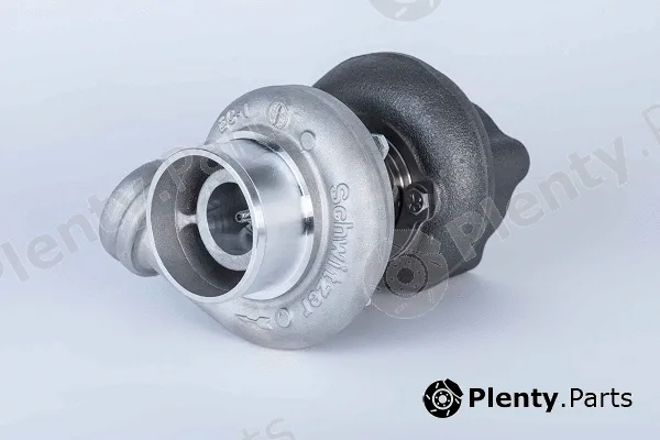 BorgWarner (Schwitzer) 318281 — Charger, charging (supercharged/turbocharged) S100
