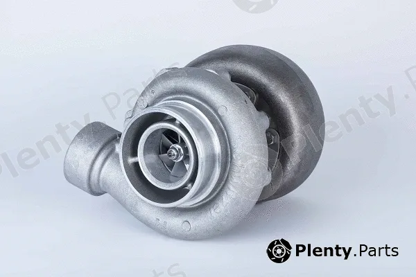 BorgWarner (Schwitzer) 317844 — Charger, charging (supercharged/turbocharged) S300