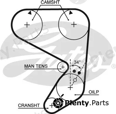 Gates 5022 — Timing Belt PowerGrip®