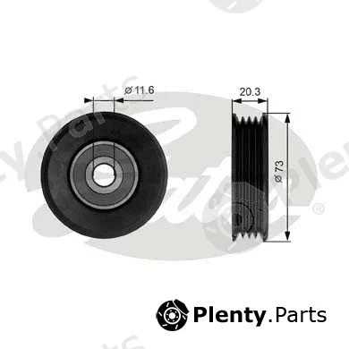 Gates T38031 — Deflection/Guide Pulley, V-ribbed belt DriveAlign®
