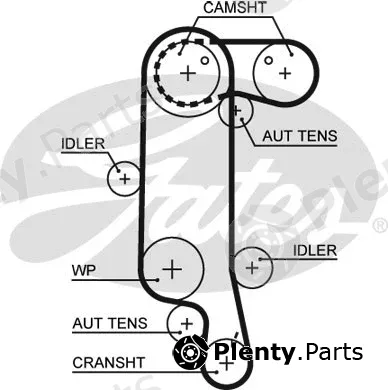 Gates 5565XS — Timing Belt PowerGrip®