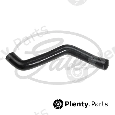 Gates 3834 — Radiator Hose