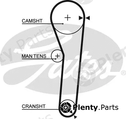 Gates 5091 — Timing Belt PowerGrip®