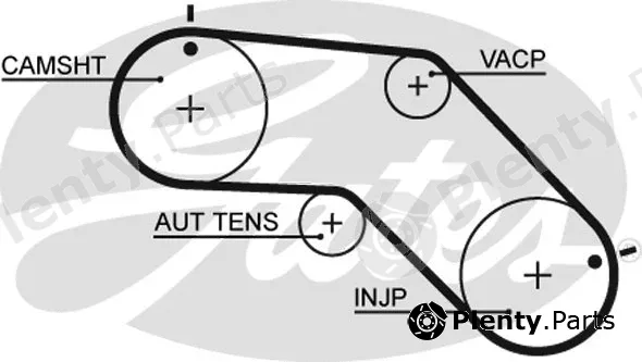 Gates 5504XS — Timing Belt PowerGrip®