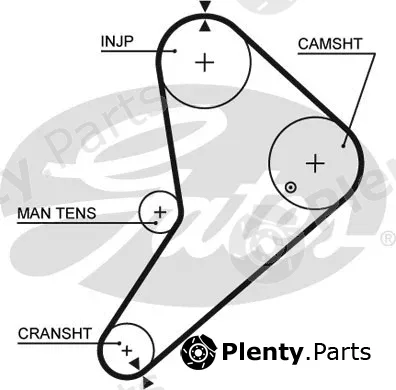Gates 5021 — Timing Belt PowerGrip®