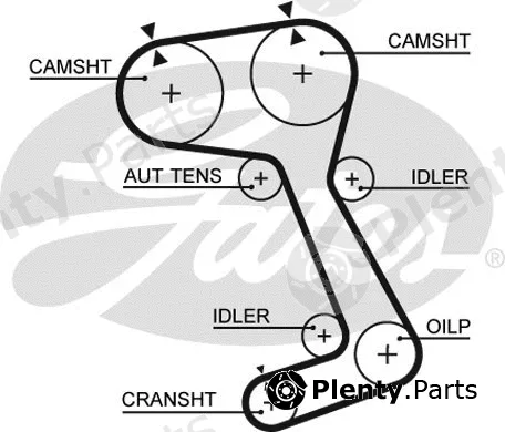 Gates 5364XS — Timing Belt PowerGrip®