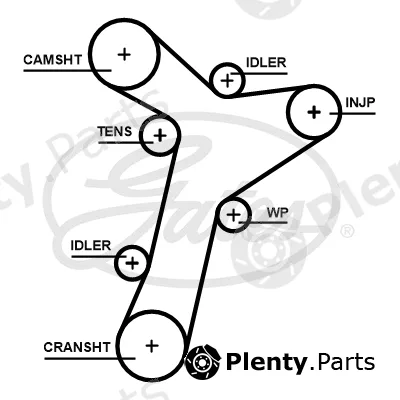 Gates 5695XS — Timing Belt PowerGrip®