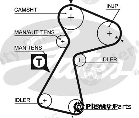 Gates 5561XS — Timing Belt PowerGrip®