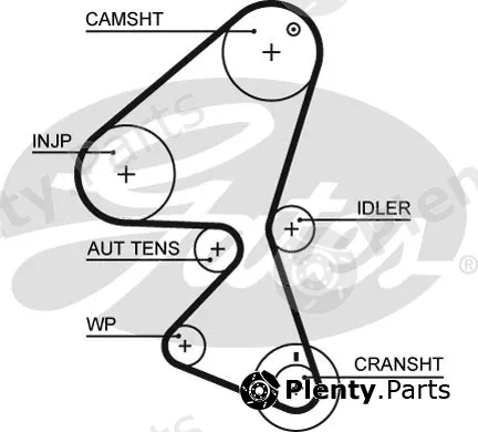 Gates 5587XS — Timing Belt PowerGrip®