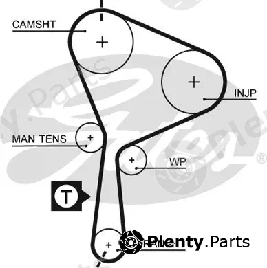 Gates 5552XS — Timing Belt PowerGrip®