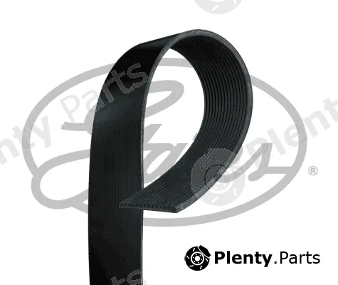Gates 15PK1540HD — V-Ribbed Belt FleetRunner™ Micro-V®