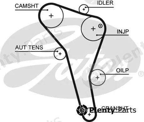 Gates 5622XS — Timing Belt PowerGrip®