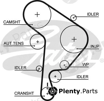 Gates 5543XS — Timing Belt PowerGrip®