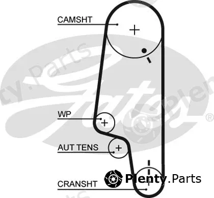 Gates 5428XS — Timing Belt PowerGrip®