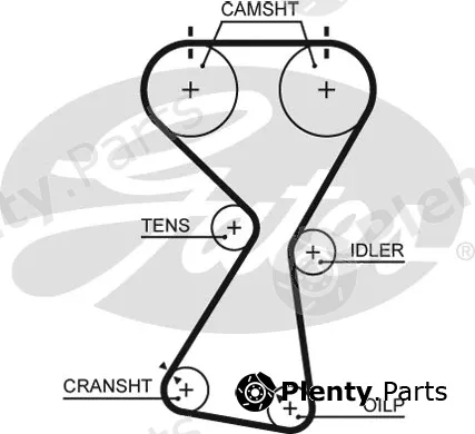 Gates 5534XS — Timing Belt PowerGrip®