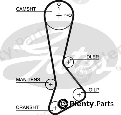Gates 5198XS — Timing Belt PowerGrip®