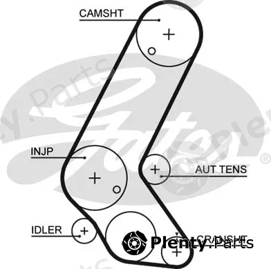 Gates 5595XS — Timing Belt PowerGrip®