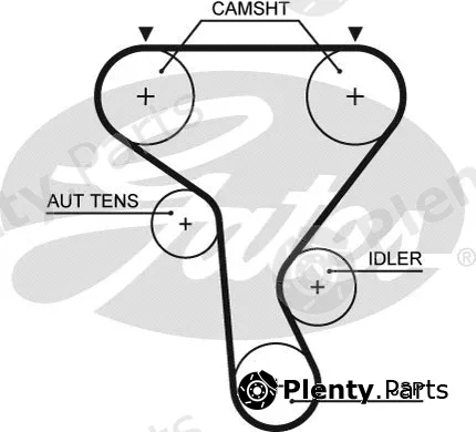 Gates 5573XS — Timing Belt PowerGrip®