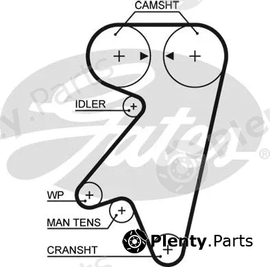 Gates 5191 — Timing Belt PowerGrip®
