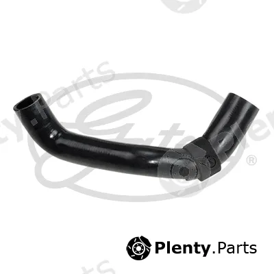 Gates 3812 — Radiator Hose