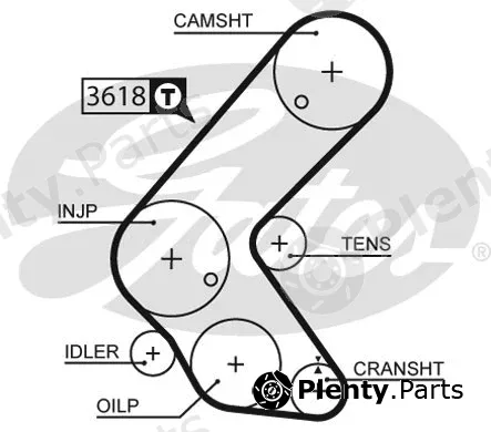 Gates 5563XS — Timing Belt PowerGrip®