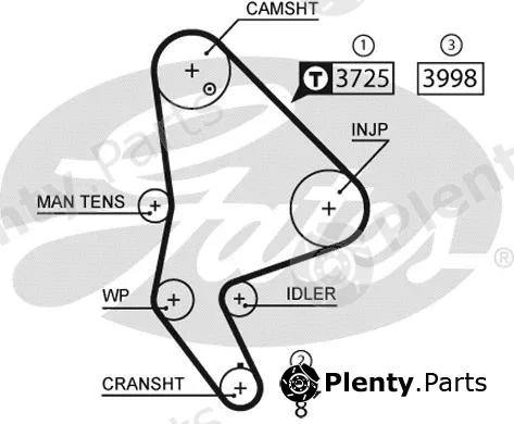 Gates 5588XS — Timing Belt PowerGrip®