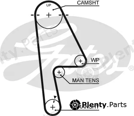 Gates 5529XS — Timing Belt PowerGrip®