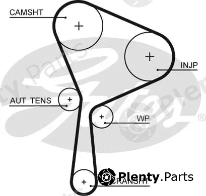 Gates 5654XS — Timing Belt PowerGrip®