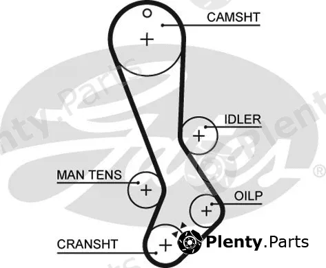 Gates 5282XS — Timing Belt PowerGrip®