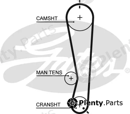 Gates 5591XS — Timing Belt PowerGrip®