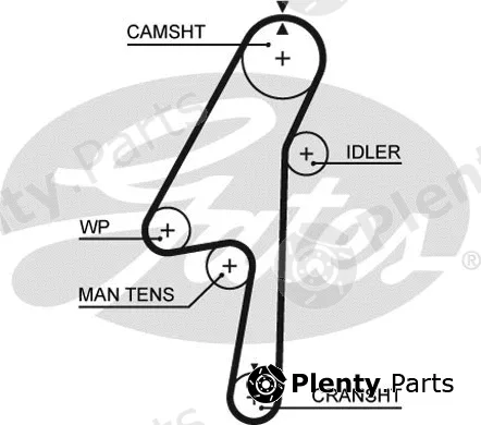 Gates 5580XS — Timing Belt PowerGrip®