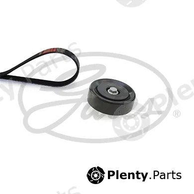 Gates K036PK1255 — V-Ribbed Belt Set Micro-V® Kit