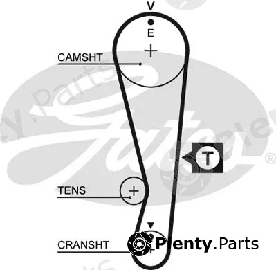 Gates 5318XS — Timing Belt PowerGrip®