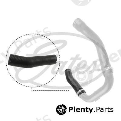Gates 09-0484 — Charge Air Hose