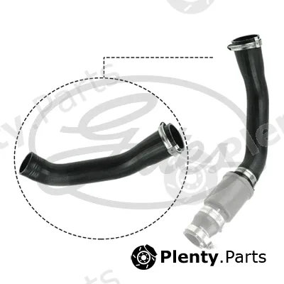 Gates 09-0631 — Charge Air Hose