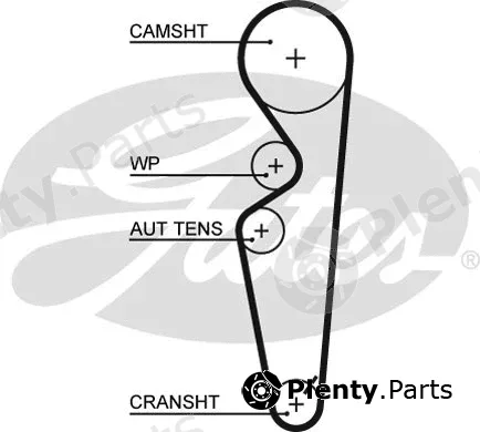 Gates 5431XS — Timing Belt PowerGrip®