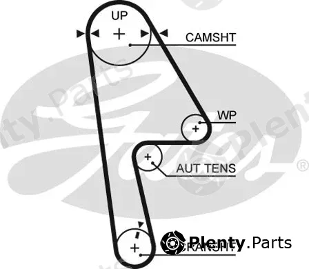 Gates 5593XS — Timing Belt PowerGrip®