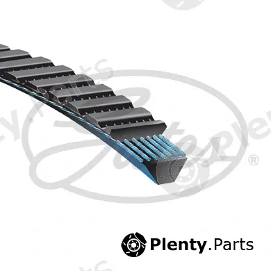 Gates 11M875 — V-Belt